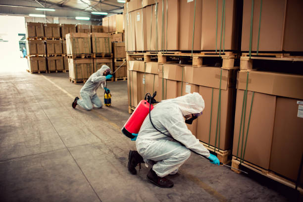 Best Bed Bug Extermination  in Pontotoc, MS