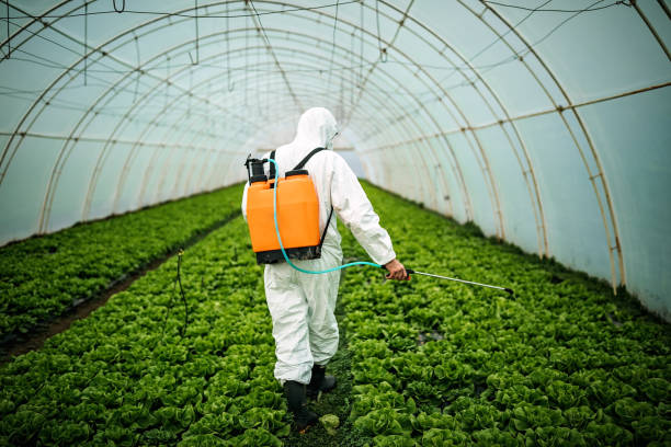 Best Best Pest Control Companies  in Pontotoc, MS