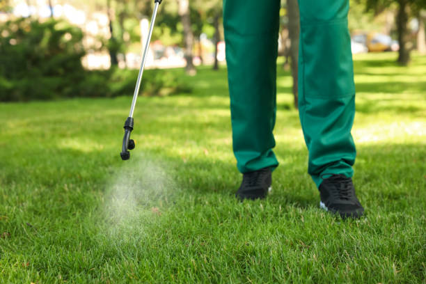 Best Mosquito Control Services  in Pontotoc, MS