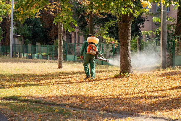 Pest Prevention Services in Pontotoc, MS