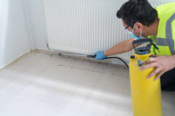 Best Best Pest Control Companies  in Pontotoc, MS