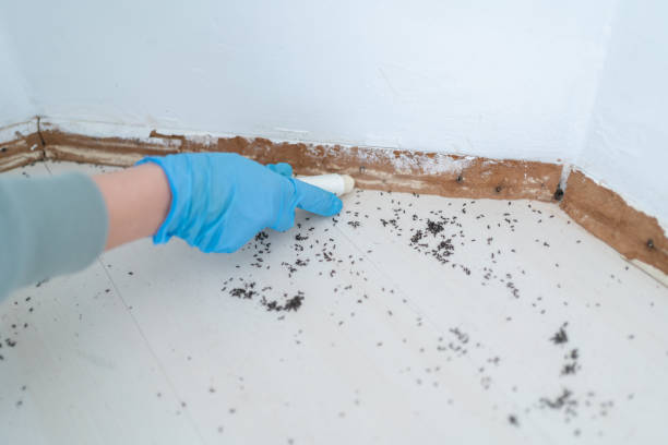 Best Residential Pest Control  in Pontotoc, MS