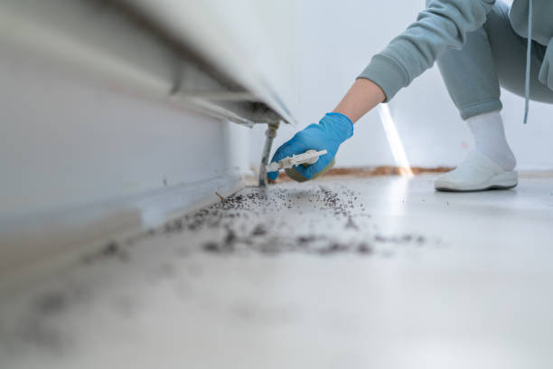 Best Termite Control Services  in Pontotoc, MS