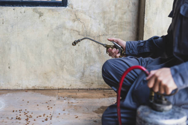 Best Best Pest Control Companies  in Pontotoc, MS