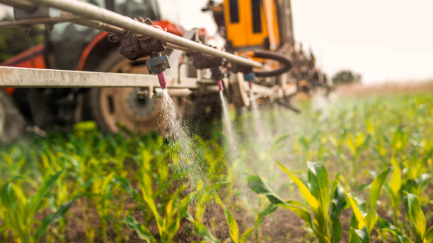 Best Mosquito Control Services  in Pontotoc, MS